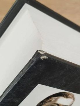 Божественная комедия (последний экземпляр, с мех. повреждением правого нижнего угла, см.фото) (Маркетплейс) - Художня література