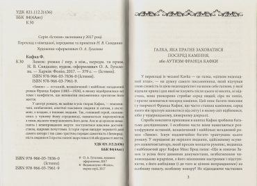 Замок - фото 3