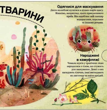 Хто ховається між листям й у води? - фото 3