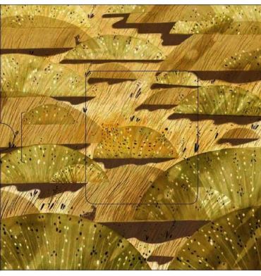 Хто ховається між листям й у води? - фото 4