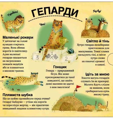 Хто ховається між листям й у води? - фото 5