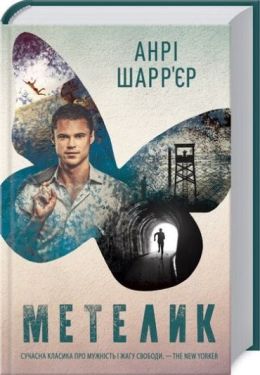 Метелик - Художня література