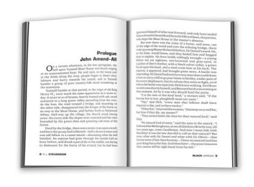 The Black Arrow - фото 2