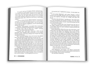 The Black Arrow - фото 3