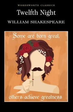 Twelfth Night - Художня література