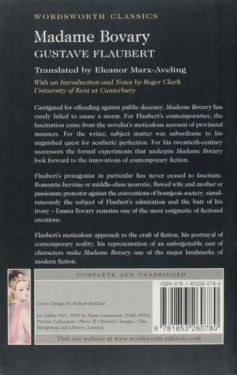 Madame Bovary - Художня література