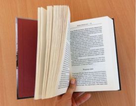 Диявол у білому місті - Художня література