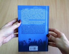 Моя неймовірна подруга - Художня література