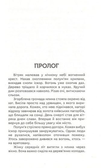 Голота. Справа осавула - фото 2