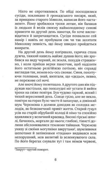 Терен у нозі. Гуцульська проза - фото 3