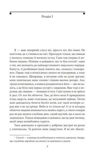 Ваш покірний слуга кіт - фото 2