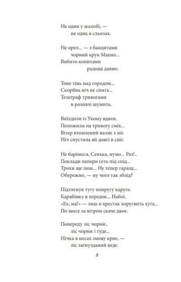 Мечоносці. Поеми та повісті - фото 5