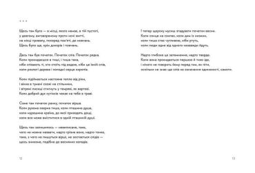 30 віршів про любов і залізницю - фото 6