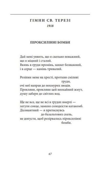 В садах безрозних - фото 5