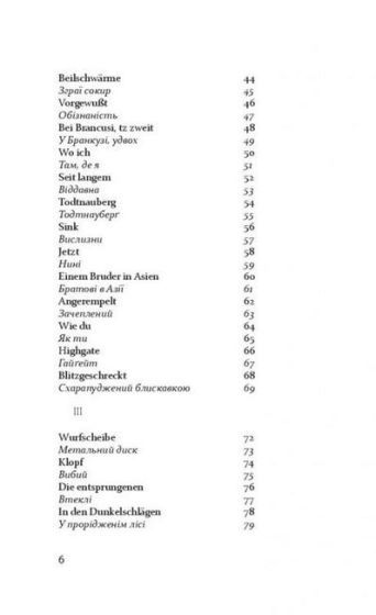 Світлопримус - фото 5