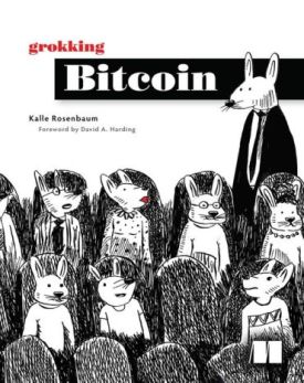 Grokking Bitcoin First Edition