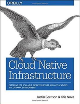 Cloud Native Infrastructure: Patterns for Scalable Infrastructure and Applications in a Dynamic Environment 1st Edition - Комп'ютрена література