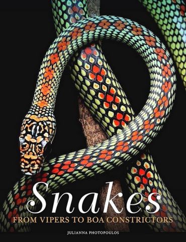 Snakes. From Vipers to Boa Constrictors - фото 1