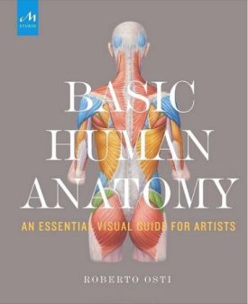 Basic Human Anatomy. An Essential Visual Guide for Artists