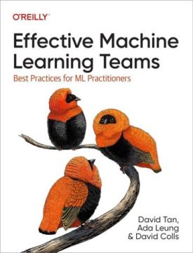 Effective Machine Learning Teams: Best Practices for ML Practitioners 1st Edition