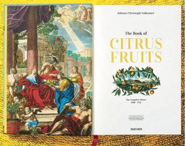 J. C. Volkamer. The Book of Citrus Fruits - фото 2
