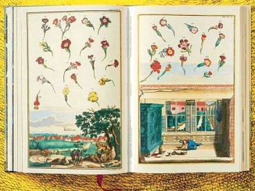 J. C. Volkamer. The Book of Citrus Fruits - фото 6