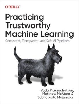 Practicing Trustworthy Machine Learning: Consistent, Transparent, and Fair AI Pipelines 1st Edition