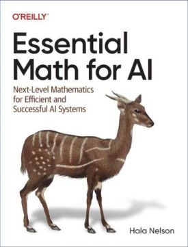 Essential Math for AI: Next-Level Mathematics for Efficient and Successful AI Systems 1st Edition