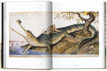 Walton Ford. 40th Ed. - фото 4