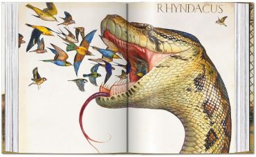 Walton Ford. 40th Ed. - фото 7