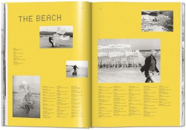 Lena Herzog. Strandbeest. The Dream Machines of Theo Jansen - фото 4