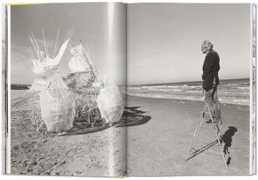 Lena Herzog. Strandbeest. The Dream Machines of Theo Jansen - фото 5