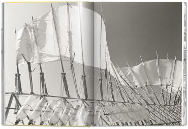 Lena Herzog. Strandbeest. The Dream Machines of Theo Jansen - фото 6