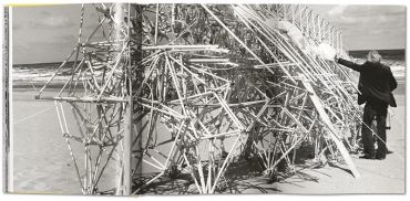 Lena Herzog. Strandbeest. The Dream Machines of Theo Jansen - фото 7