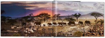 Stephen Wilkes. Day to Night - фото 9