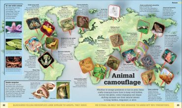 Whats Weird on Earth - фото 3