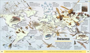 Whats Weird on Earth - фото 4