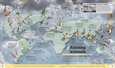 Whats Weird on Earth - фото 7