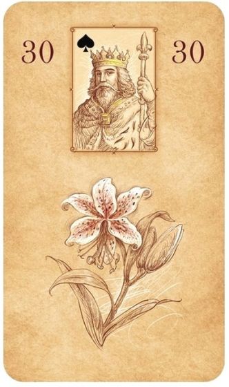 Карти Ленорман (книга + карти). Комплект - фото 7