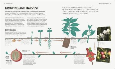 The Coffee Book - фото 2