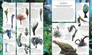 The World of Avatar - фото 3