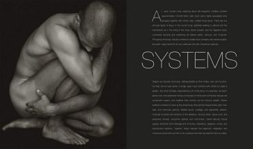 Anatomy for the Artist - фото 2