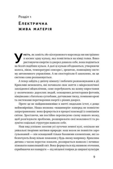 Секрети нейропластичності. Як мозок адаптується до нових викликів - фото 7