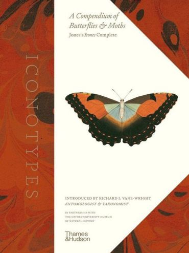 Iconotypes. A compendium of butterflies and moths. Joness Icones Complete - фото 1