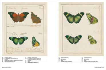 Iconotypes. A compendium of butterflies and moths. Joness Icones Complete - фото 9