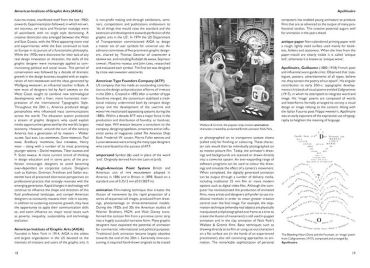 The Thames & Hudson Dictionary of Graphic Design and Designers - фото 3