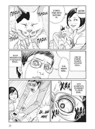 Котячий щоденник Джюнджі Іто: Йон та Му - фото 2