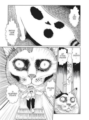 Котячий щоденник Джюнджі Іто: Йон та Му - фото 3