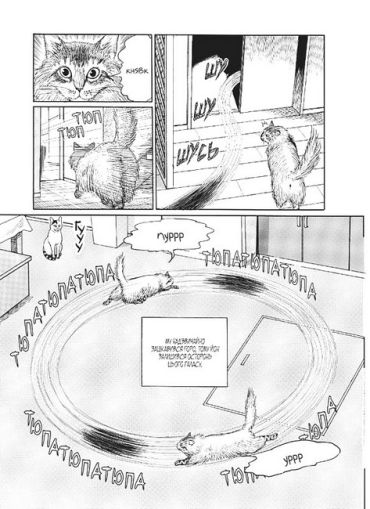 Котячий щоденник Джюнджі Іто: Йон та Му - фото 5