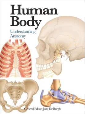 Human Body. Mini Encyclopedia